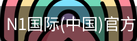 N1国际